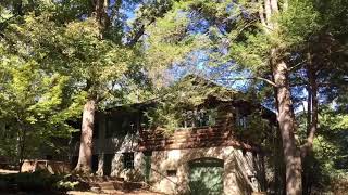Inside Greylogs Estate