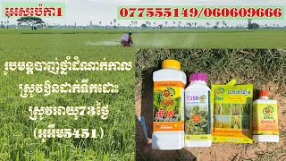 🌾🌾🌾បាញ់ថ្នាំបំពេញទឹកដោះ គ្រាប់ថ្លោស ញាត់គ្រាប់ដល់គល់កួរ បង្កើនទិន្នផលស្រូវ!!!