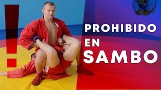 ACCIONES Y TÉCNICAS PROHIBIDAS EN EL SAMBO Y COMBAT SAMBO. REGLAS DE COMPETICIÓN DE SAMBO