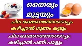 തൈരും മുട്ടയും ചില ഭക്ഷണത്തോടൊപ്പം കഴിച്ചാൽ ഗുണവും ചില ഭക്ഷണത്തോടൊപ്പം കഴിച്ചാൽ ദോഷവും ചെയ്യും