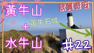 【四圍遊#22】探秘黃牛山寶藏！絕美奇石黃牛石城引領你進入神秘之境 - 黃牛山 | 水牛山 | 黃竹山 | 黃牛石城 | 天窗石 | 花鼠坳 | 花心坑 | 黃泥頭【4K】