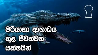 මරියානා ආගාධයේ භයානක ජීවින්