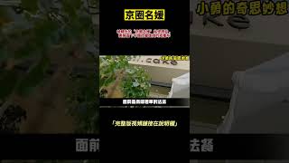 『京圈名媛』被曝光的“京圈名媛”私密照片，撕開當下社會虛偽的遮羞布 {非完整版}