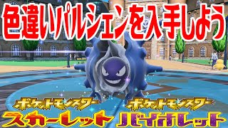 【ポケモンSV】色違いパルシェンを入手しよう 進化入手【ポケットモンスター スカーレット・バイオレット】Pocket Monsters