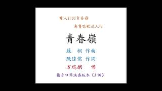 陳鴻儀演奏 - 青春嶺｜複音口琴Tremolo Harmonica 演奏版本《A調》