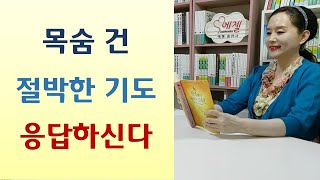 일천번 기도 새벽기도 금식기도 응답 넘쳐/멋있는 예수쟁이들-하늘을 품은 마음(이중표/쿰란)