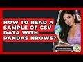 How To Read A Sample Of CSV Data With Pandas Nrows? - Python Code School