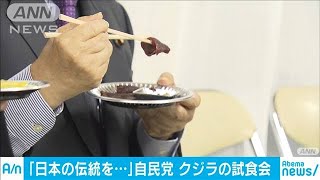 自民がクジラ料理の試食会　再開した商業捕鯨を支援(19/10/10)