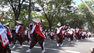 CHIよREN北天魁 （審査演舞）／公園通北会場（流し）②／第30回朝霞市民まつり 彩夏祭2013