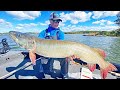 HUGE Musky on Lake of the Woods Figure 8 Slow Motion