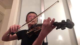 Looper Led Zep Kashmir Violin