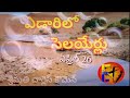 26 04 2021 ఎడారిలో సెలయేర్లు streams in the desert 🏝️🏜️ ఆదరణ కలిగించు మాటలు