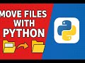 Move Files Like a Pro with Python 🐍 | shutil & os Explained!