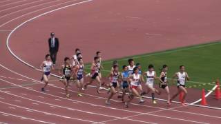 2017東部高校総体　男子800m　決勝