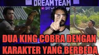 RAHASIA DUA KING COBRA MONSTER PANJI PETUALANG