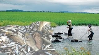 wow Amazing Fishing  - How to Catches Fish - Cambodia Traditional fishing-Fishing Man