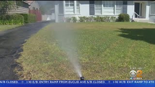 City Of LA Offers Water Conservation Incentive For Companies