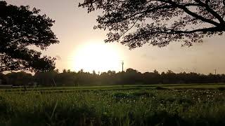 സൂര്യ അസ്തമയം വേറിട്ട കാഴ്ചയായി|The sunset was a special sight#viral #video