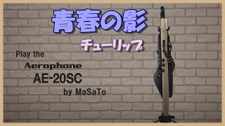 チューリップの「青春の影」　エアロフォン演奏です♥　ウィンドシンセサイザー　Roland　Aerophone　AE20-SC