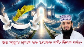 স্বপ্নে জান্নাত দেখলে শুভ সংকেত নাকি বিশেষ বার্তা?