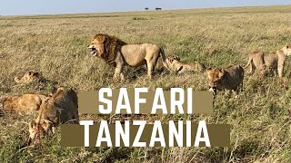 Tanzania Safari 🇹🇿 | Serengeti, Tarangire & Ngorongoro