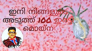 മൂന്നുദിവസം കൊണ്ട് moina culture/ How to culture moina live food