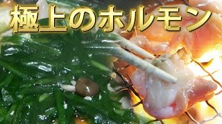 佐賀産和牛ホルモン 極上 もつ煮