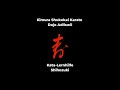 KSI Karate Adliswil  - Shihozuki