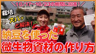 How to grow vegetables Q&A! 10/17-10/23 Japanese farmers answer questions about cultivation !