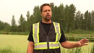 How Does The Sewage Treatment Lagoon Work? | Exploring Violet Grove Lagoon