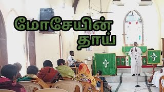 மோசேயின் தாய்/ யோகெபேத்...