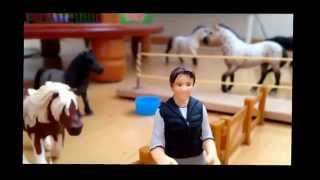 Heinsuon schleich talliesittely osa 2/3