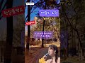 🩷 바람의 소원 전유진 한일톱텐쇼 채희 shorts