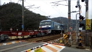 JR貨物 EF210-13号機[岡](代走)+コキ22B　貨物列車1052レ【やや爆走!!】