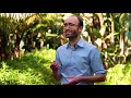 You didn't choose to watch this talk | Hedi Young | TEDxULisboa