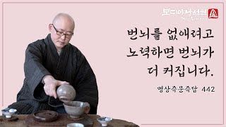 번뇌를 없애려고 노력하면 번뇌가 더 커집니다. 번뇌를 버리는 방법은?ㅣ명상 즉문즉답 442ㅣ혜안스님