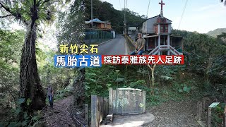 新竹尖石馬胎古道低海拔森林踏青好去處，在溪水山澗中探訪泰雅族先人足跡順走南坪古道