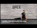 dumbbell rear foot elevated split squat