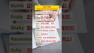 😲 어? 나 지금 이 단어 알아?! 감각 UP! 🎯 감각 어휘 영단어 완전 정복!