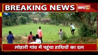 Pendra Elephant News : लोहारी गांव में पहुंचा हाथियों का दल | घरों और फसलों को पहुंचाया नुकसान