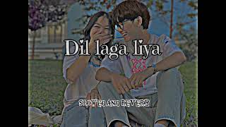 Dil laga liya || Slowed + Reverb || Alka Yagnik || Udit Narayan || audio 90s song ||