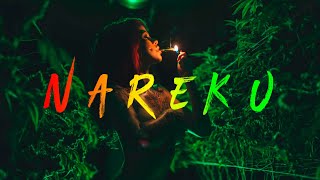 Nareku - Ragga Mix (Reggae, Raggastep, Dub)