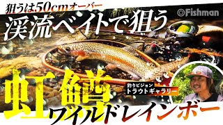 【トップゲーム】渓流ベイトで狙う北海道道東のワイルドレインボー／釣りビジョン「トラウトギャラリー」