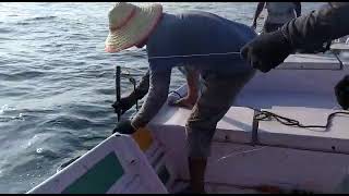 Deep sea long line fishing ..... Tuna.... தூண்டிலில் ஆழ்கடல் சூரை மீன் பிடிப்பு...