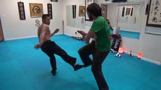 Kung Fu Sparring - Sifu Freddie Lee vs. Greg - Medium Contact - Jan 28 2019