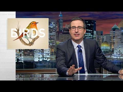 'Last Week Tonight': John Oliver Compares Himself to Big Bird