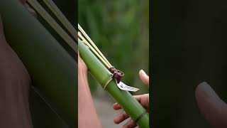 Bamboo Creations with New Fork Slingshots #Bamboo #Slingshots #Diy #Bambooart #shorts