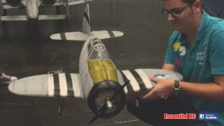 AMAZING RC 'FATTY' CARTOON WARBIRDS including F4U CORSAIR and HORTON EDF jet!