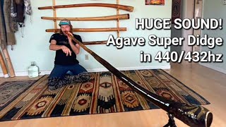 Queen Didgeridoo in C: THE GREATEST AGAVE DESIGN - raw living room vid!