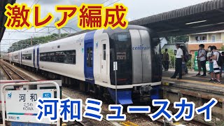 【激レア】1日だけ河和線にミュースカイがやってきたので乗車してきた！！